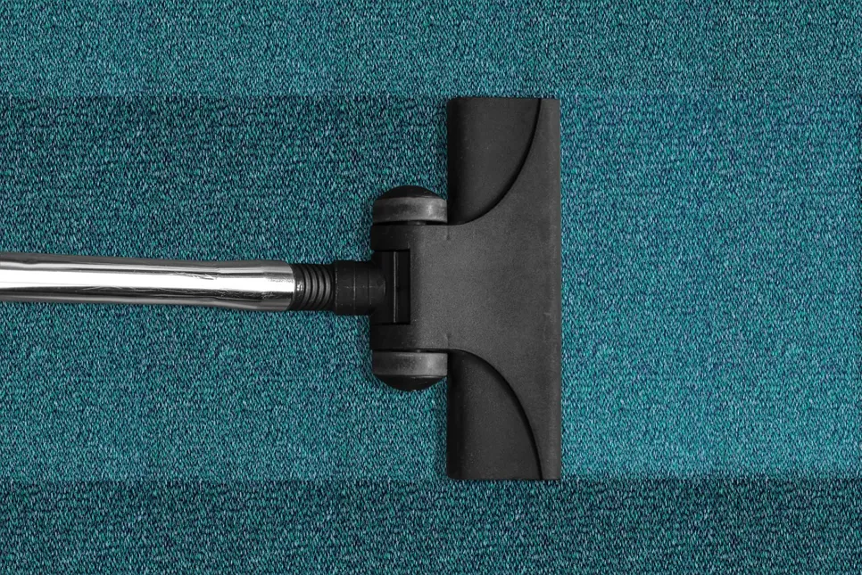 Vacuum cleaner glides over the green carpet.