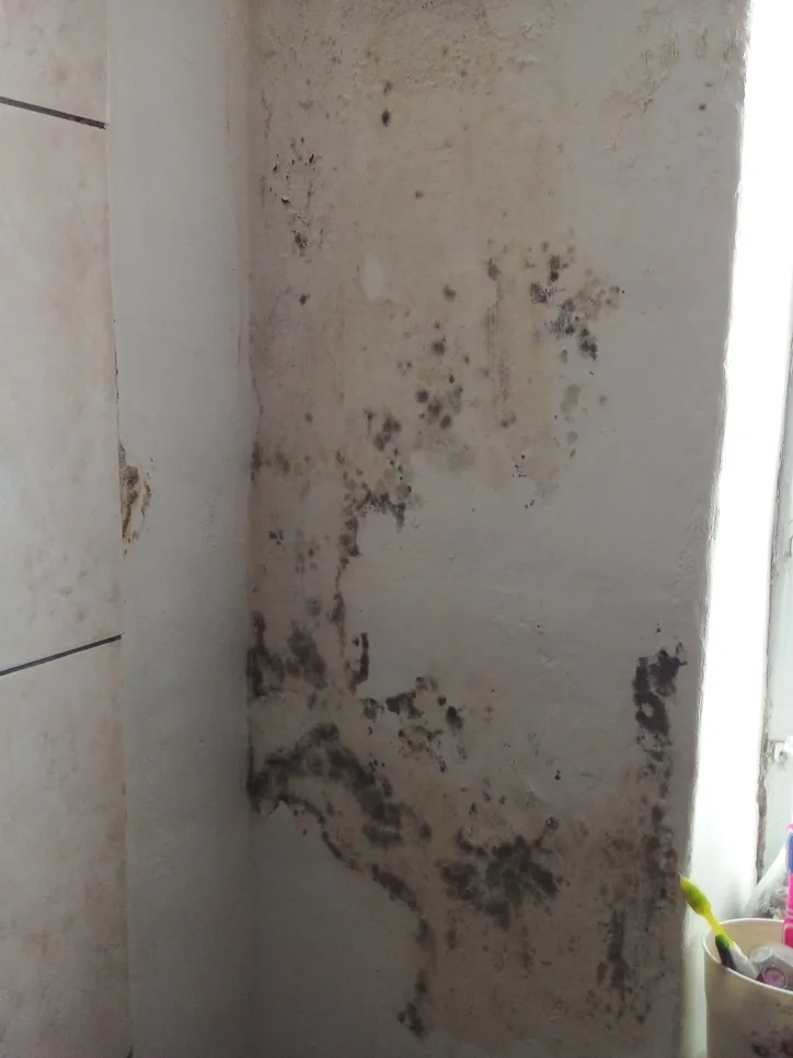 Visible mold growth on a bathroom wall due to moisture and poor ventilation.