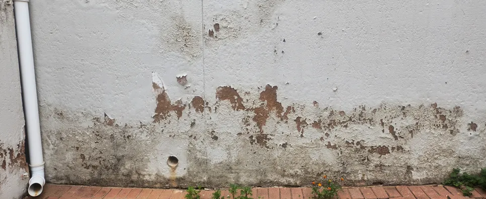 Peeling paint on an exterior wall indicates moisture damage, requiring inspection and repair to prevent further issues.