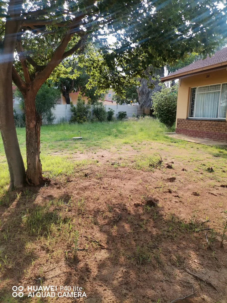 Overgrown backyard with patchy grass (8951) Backyard with patchy grass and tree shade, indicating uneven growth and potential lawn care needs.