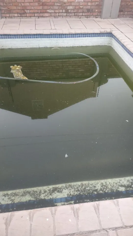 Dirty swimming pool with algae growth and stagnant water, indicating poor maintenance.