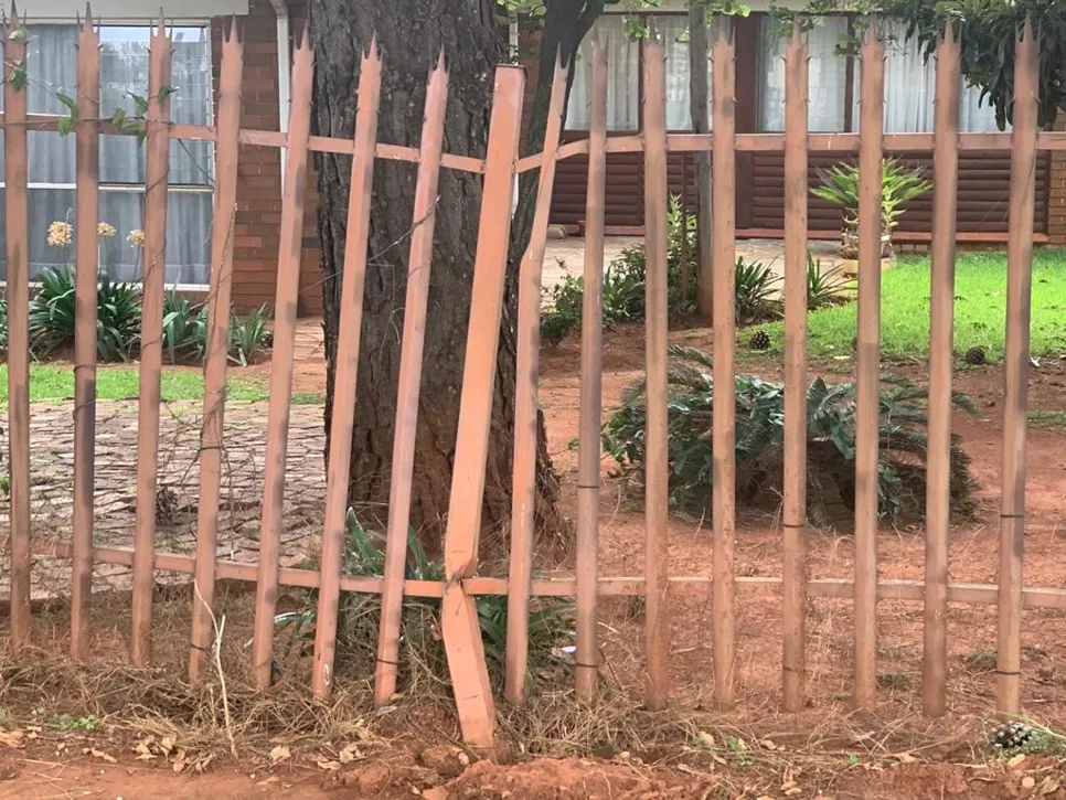 Bent metal fence with tree interference (1051) A metal fence bent due to a tree's growth, affecting its alignment and structure.