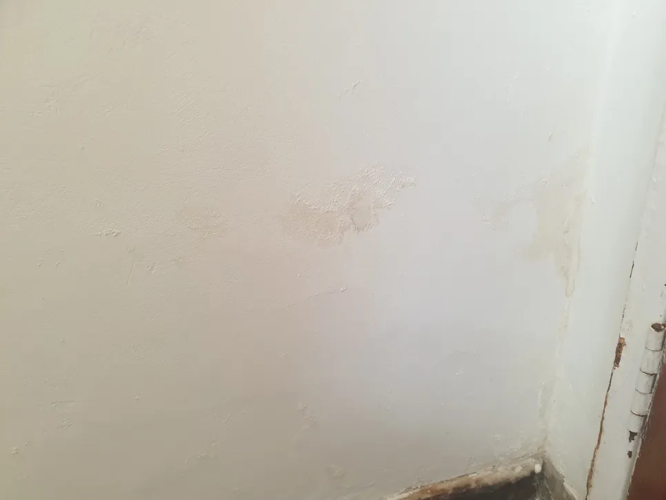 Peeling paint and damp patches on an interior wall corner indicate moisture issues.