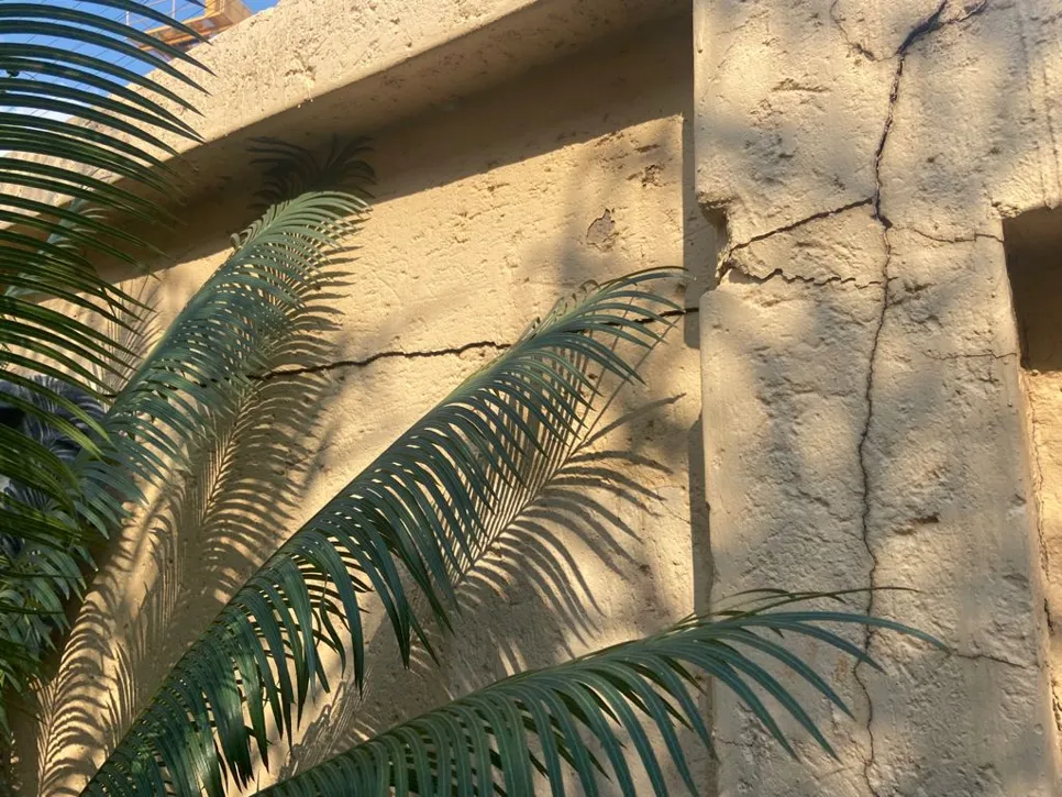Cracks on a beige exterior wall with palm leaves casting shadows, indicating potential structural issues.
