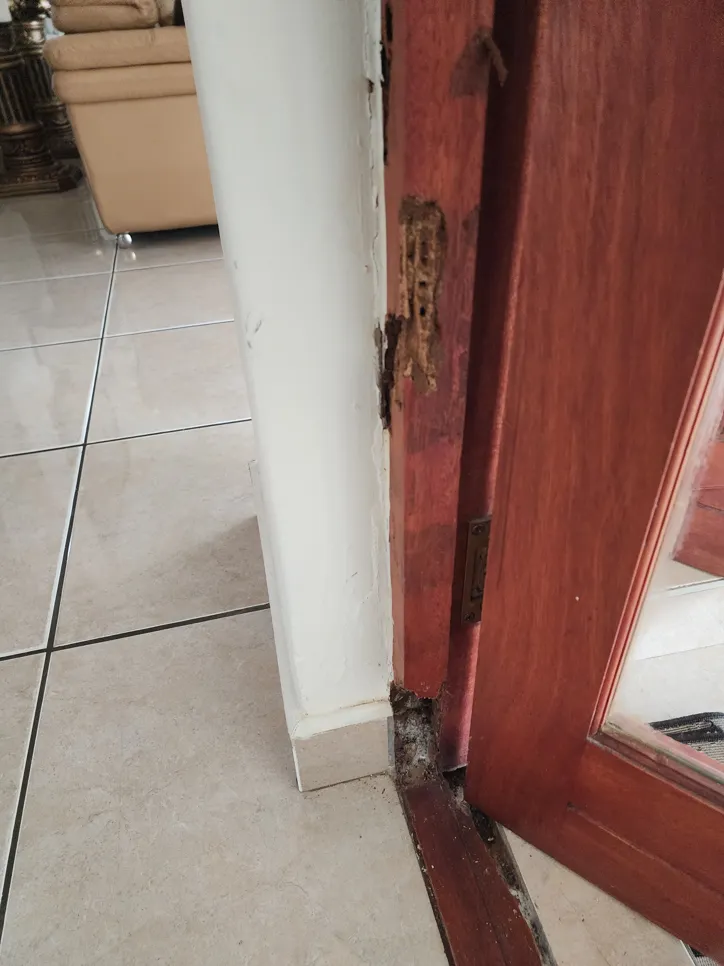 Close-up of termite damage on a wooden door frame, showing visible wood deterioration and structural weakness.