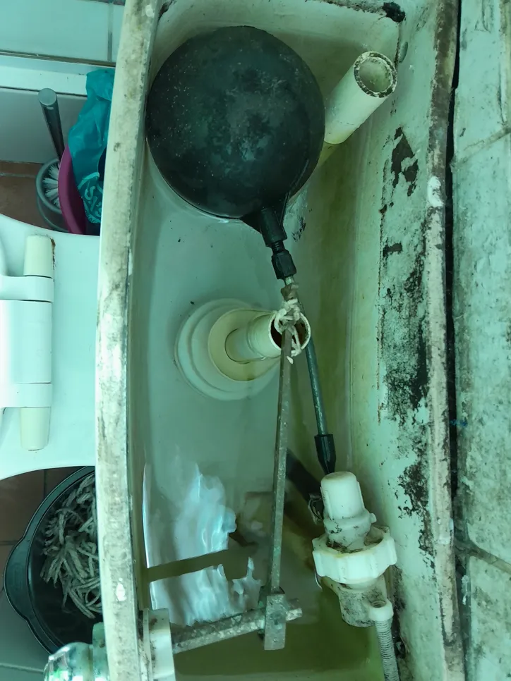 Toilet tank interior showing float, fill valve, and signs of wear, indicating potential malfunction.