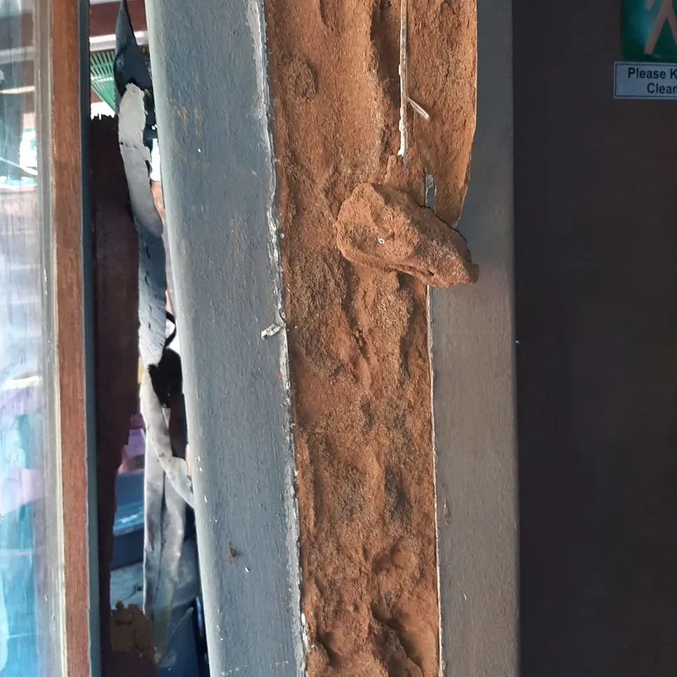 Severe termite infestation on a wooden doorframe, showing extensive mud tube formations.