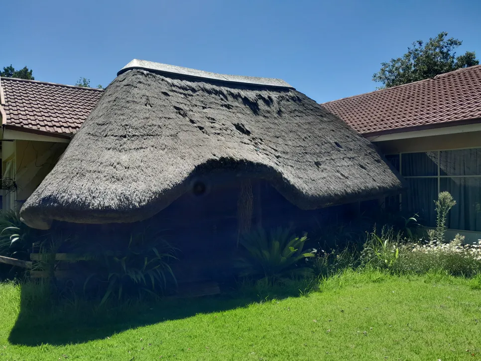 A thatched roof in need of maintenance, surrounded by a lush garden and adjacent to a tiled roof house.