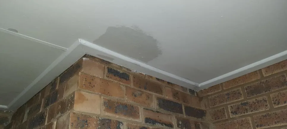 Visible water stain on ceiling corner with brick wall, indicating potential roof leak or plumbing issue.