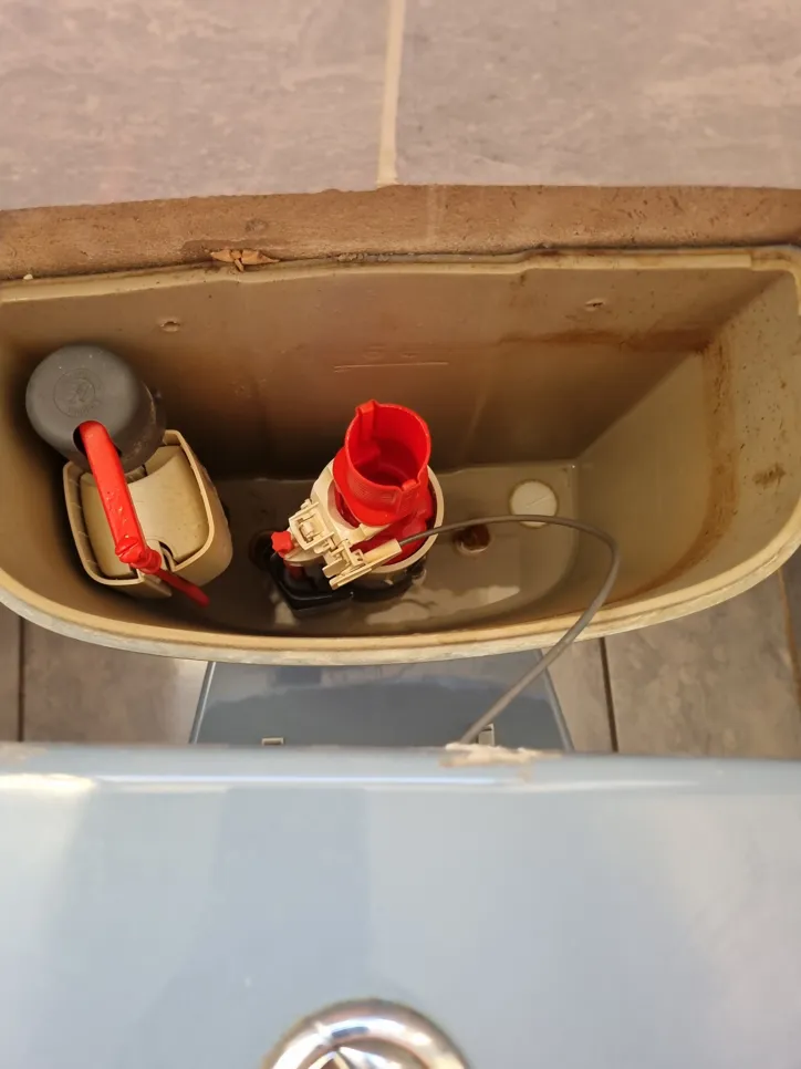 Exposed toilet cistern showing fill valve and flush mechanism, highlighting potential issues with water levels.