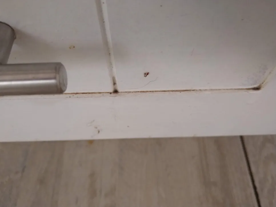 Close-up of a white cabinet door with visible dirt and grime accumulation in the grooves.