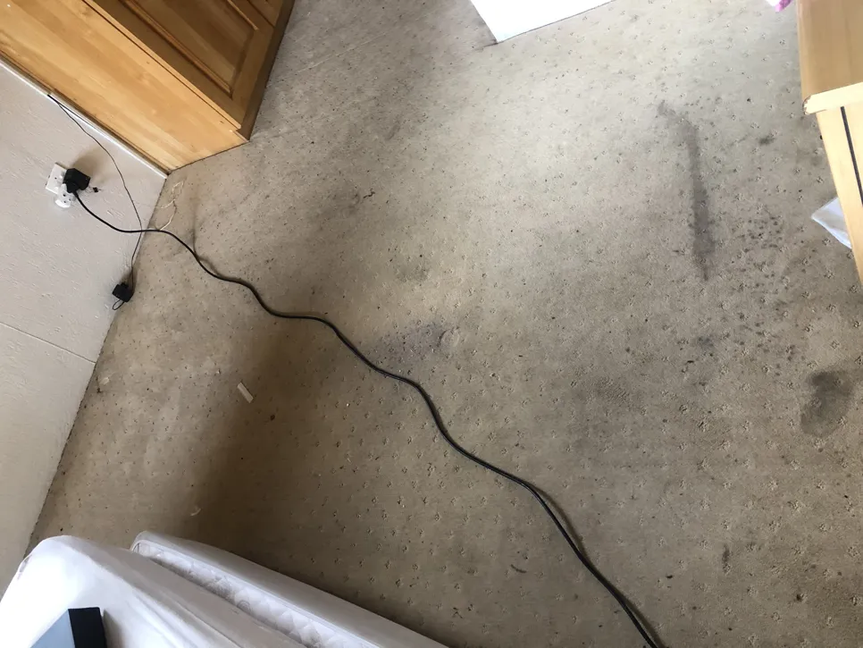 Carpet with visible stains and dirt near a power outlet, indicating heavy foot traffic and lack of cleaning.