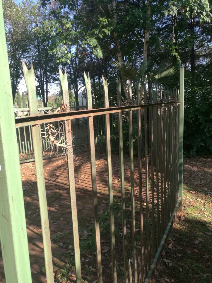 A weathered metal fence with visible rust marks stands amidst lush greenery in a garden setting.