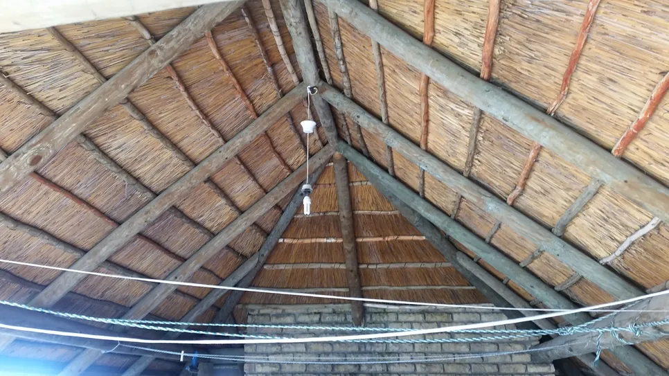 Interior view of a thatch roof showing wooden beams and natural materials.
