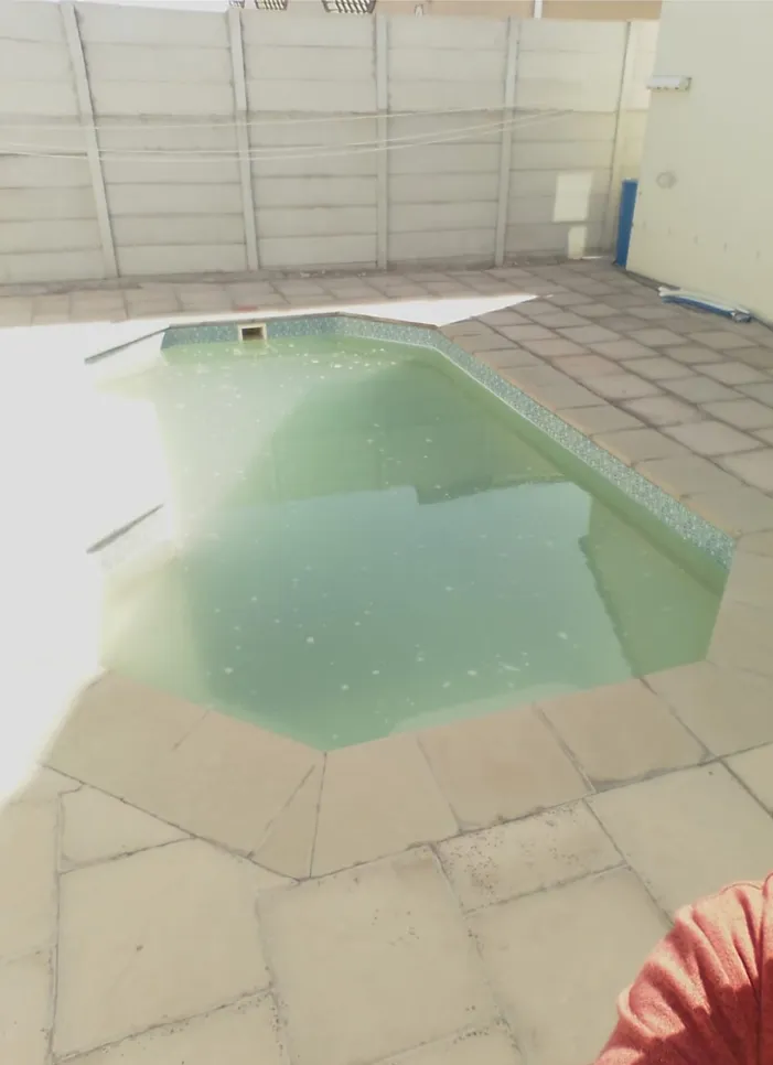 Cloudy water in a backyard swimming pool indicating potential filtration issues or algae growth.